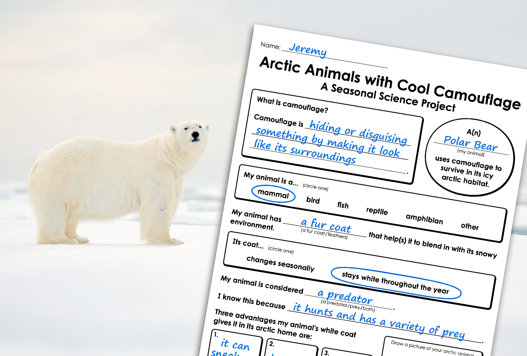 Learn About Arctic Animals
