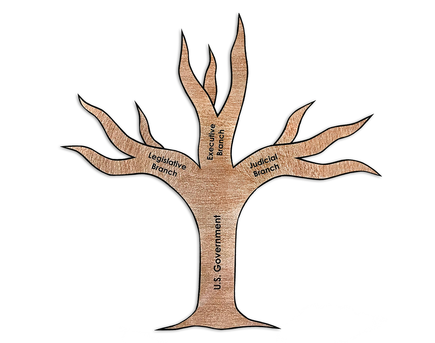 Tree Branches Of Government