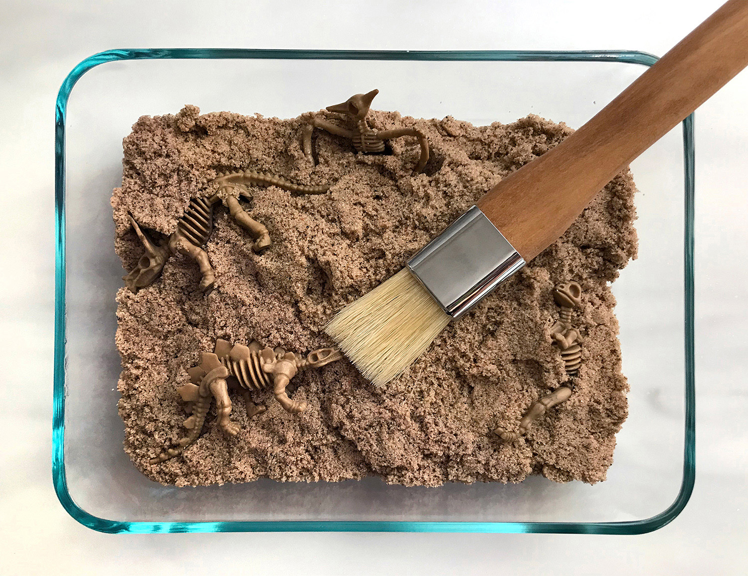 Make a Fossil Excavation Site