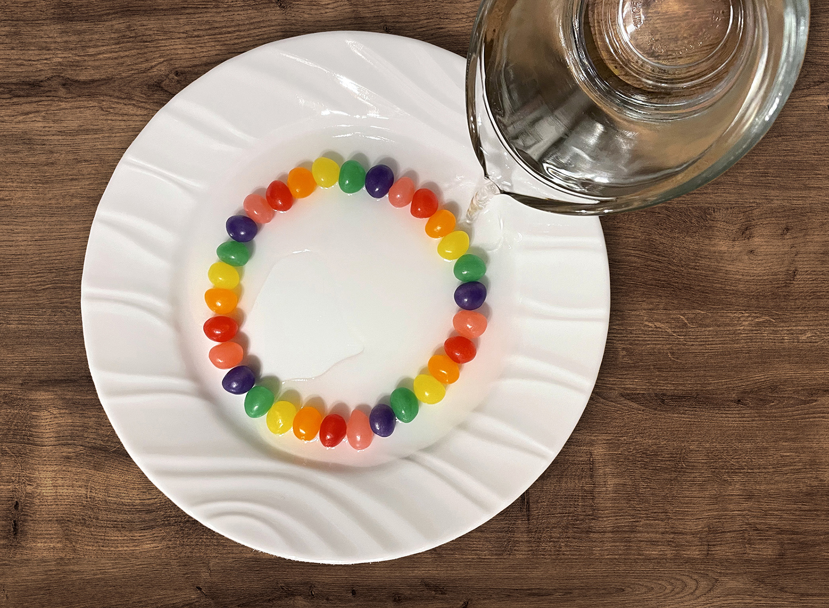  Jelly Bean Science Project