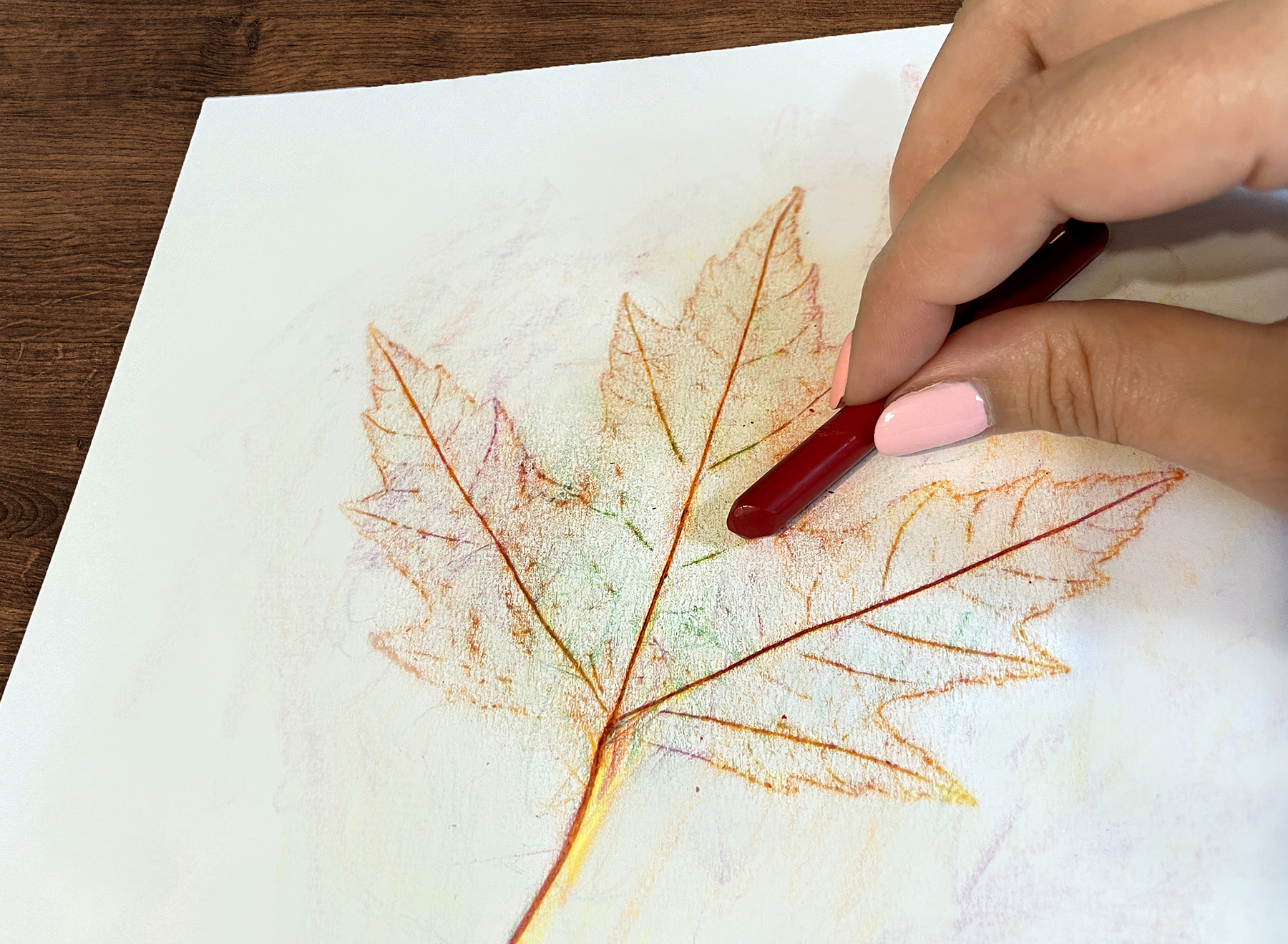 Creative Ways to Explore the Changing Colors of Fall