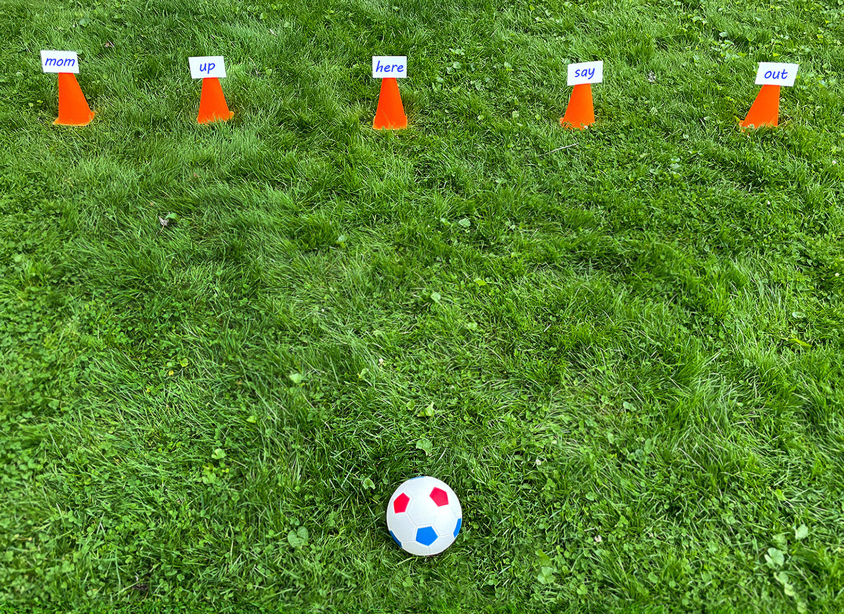 Sight Words Soccer Game