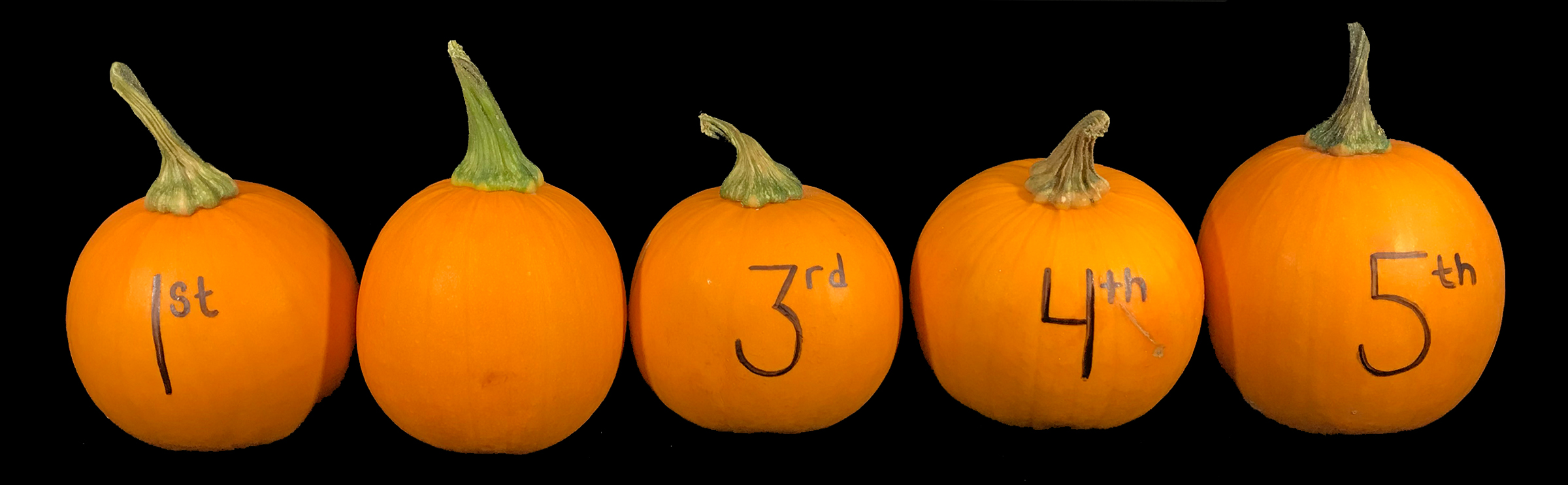 Ordinal Numbers with Pumpkins