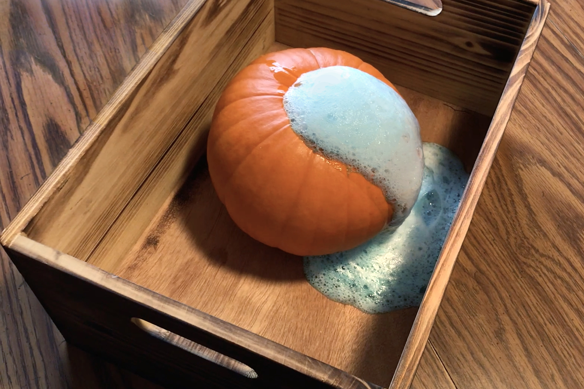 Hands-on Fall Science Experiment