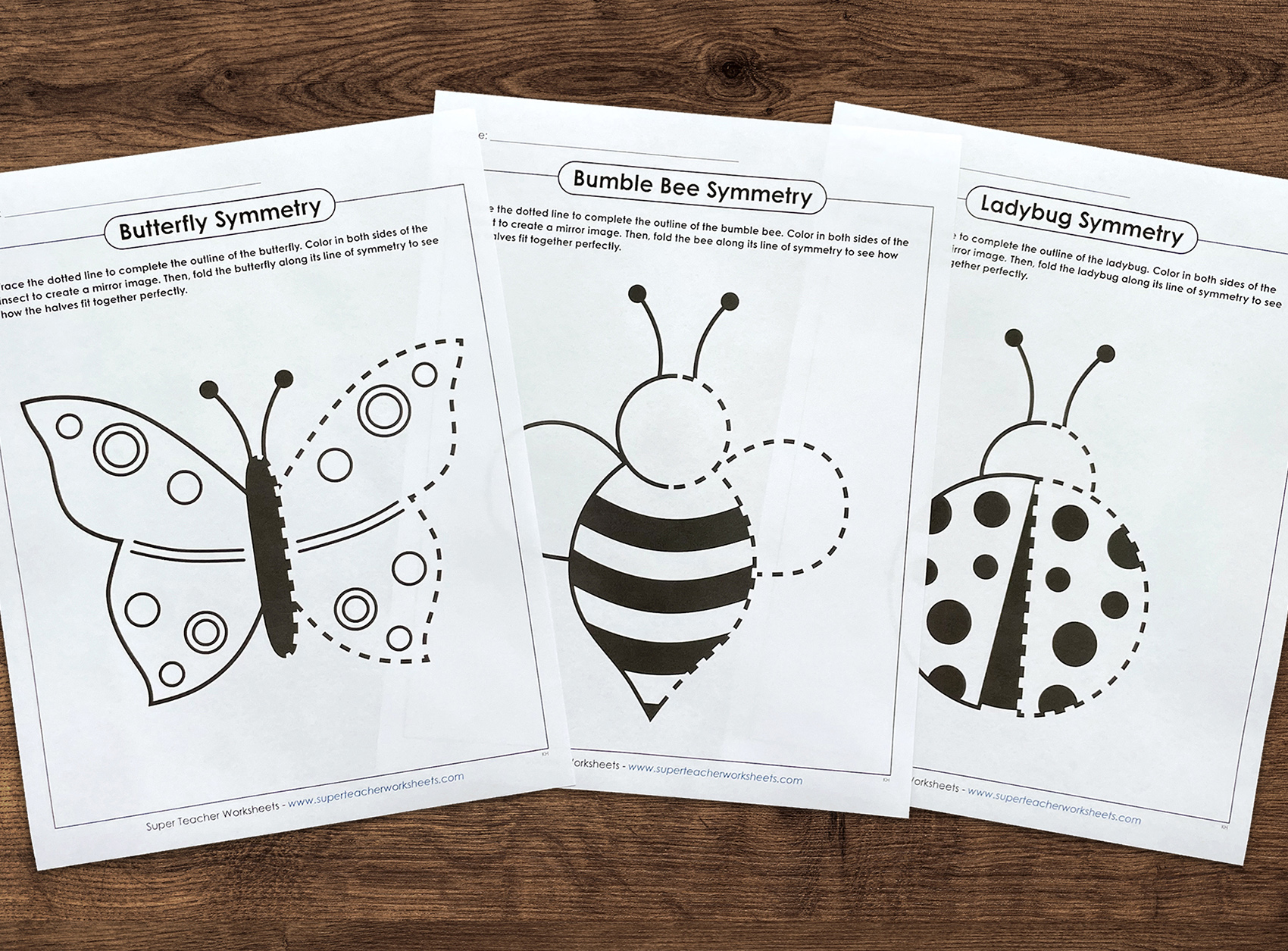 Printable Symmetry Worksheets