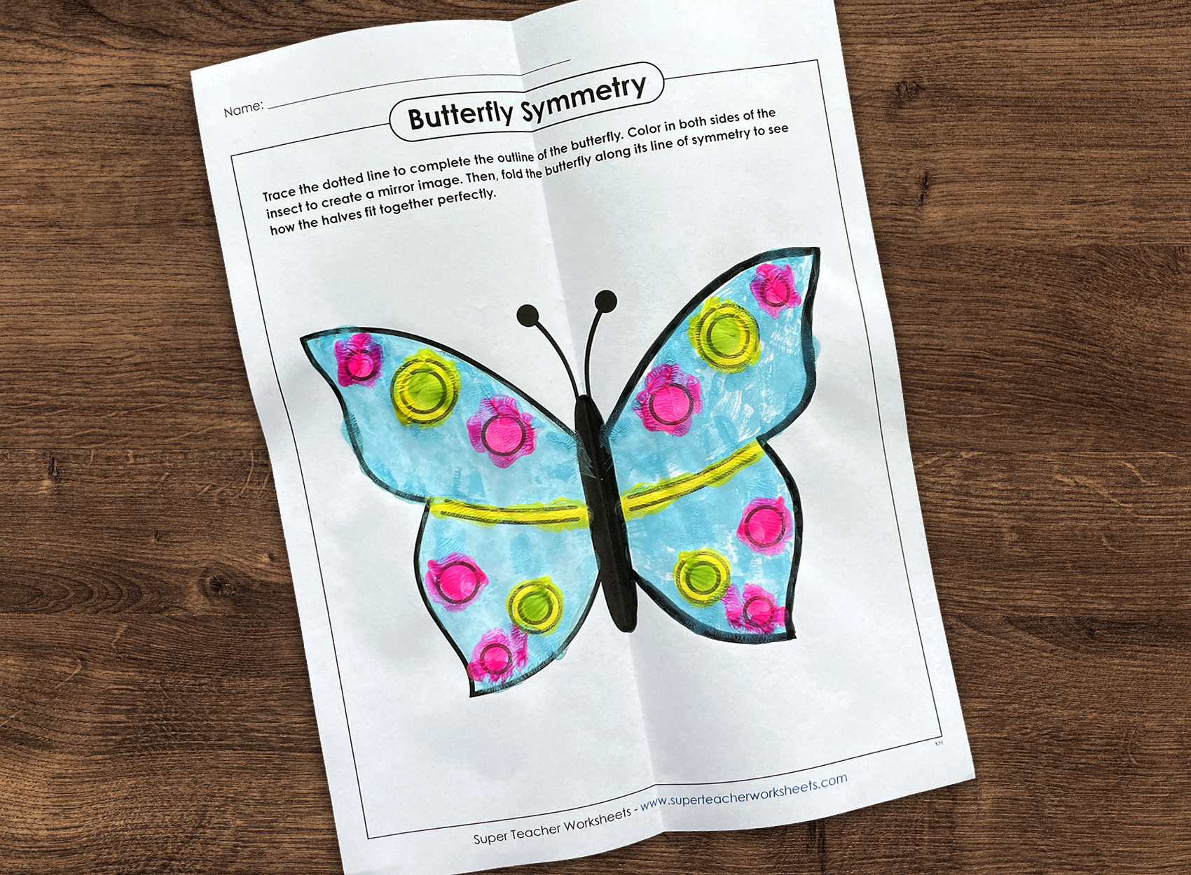 Symmetry Craft for Kids